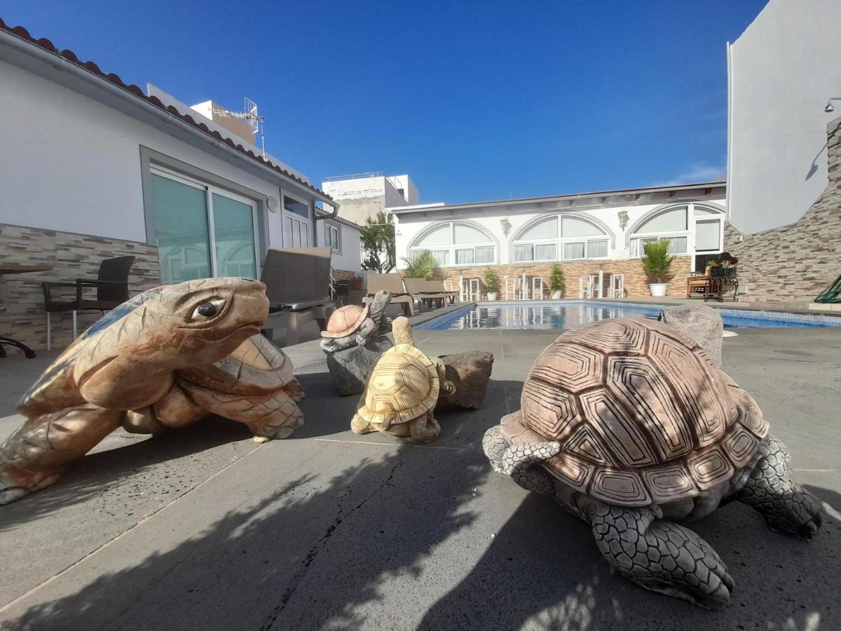 Tenerife Little Village S 圣伊西德罗 外观 照片